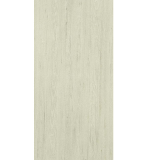 Argent Elm Laminate Sheets With Santhia Finish From Greenlam