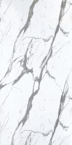 Staturio