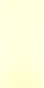 Mysore Ivory