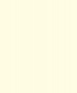 Mysore Ivory