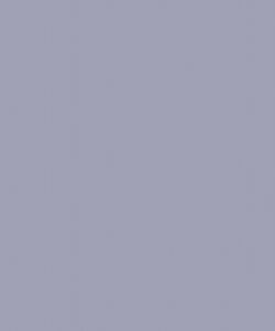 Bluish Grey