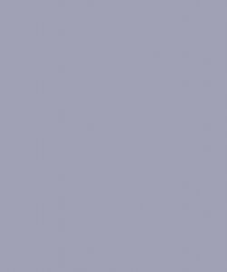 Bluish Grey