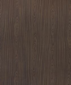 American  Walnut