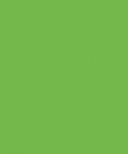 Aqua  Green