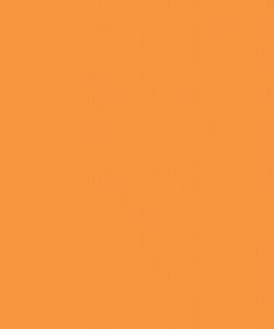 Light Orange