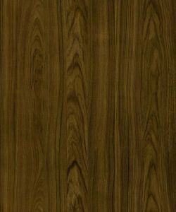 Malay Teak