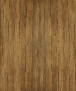 Neoteric Oak