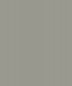 Pearlscent Grey
