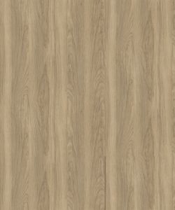 Sherwood Oak