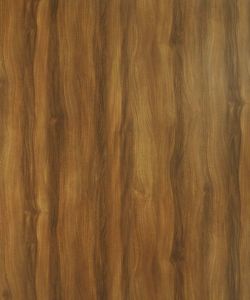 Snuff Elm