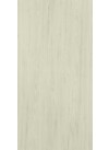 Argent Elm