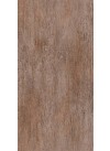 Bark Of The Willow Tree