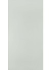 Bluish Grey
