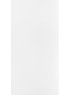 Absolute White
