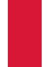 Red Dynasty