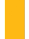 Divine Yellow