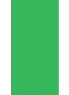 Kiwi Green