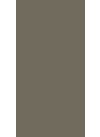 Pine Nut