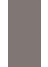 Pebble