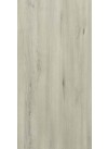 Italian Beech