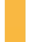 Light Orange