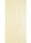 Lucent Elm