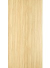 Primeval Oak