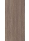 Silver Rovere