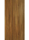 Snuff Elm