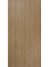 Rovigo Elm