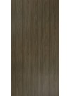 Rosenheim Elm