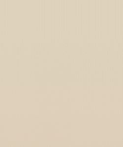 Tidal Sand
