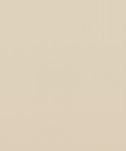 Tidal Sand