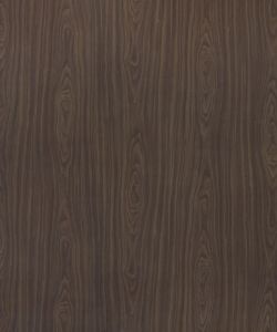 American  Walnut