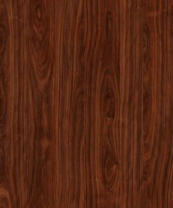 Canyon Walnut