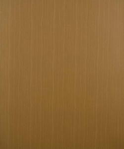 European Walnut