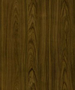 Malay Teak