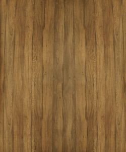 Neoteric Oak