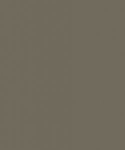 Pine Nut