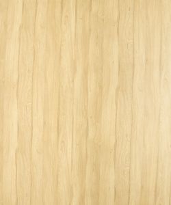 Primeval Oak