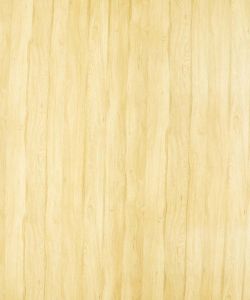 Primeval Oak