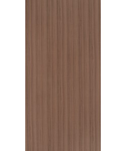 Xyloid Teak